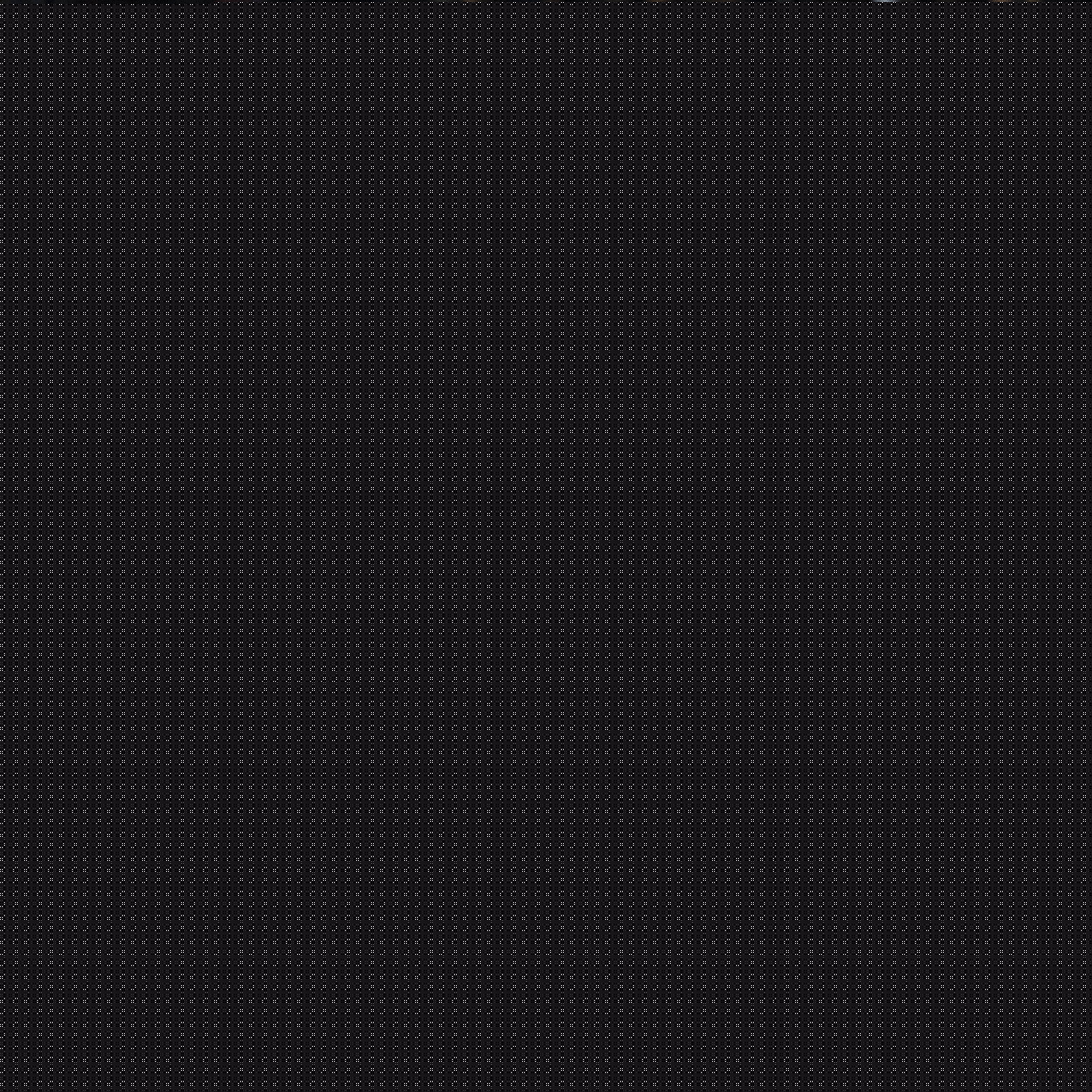 的投资