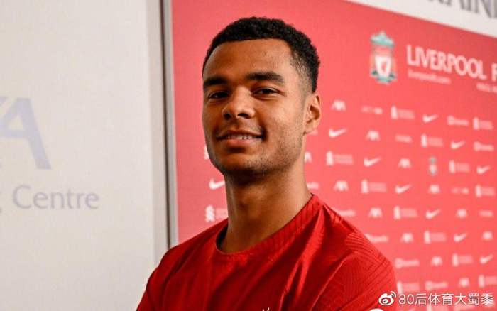 他们不仅具 他们不仅具