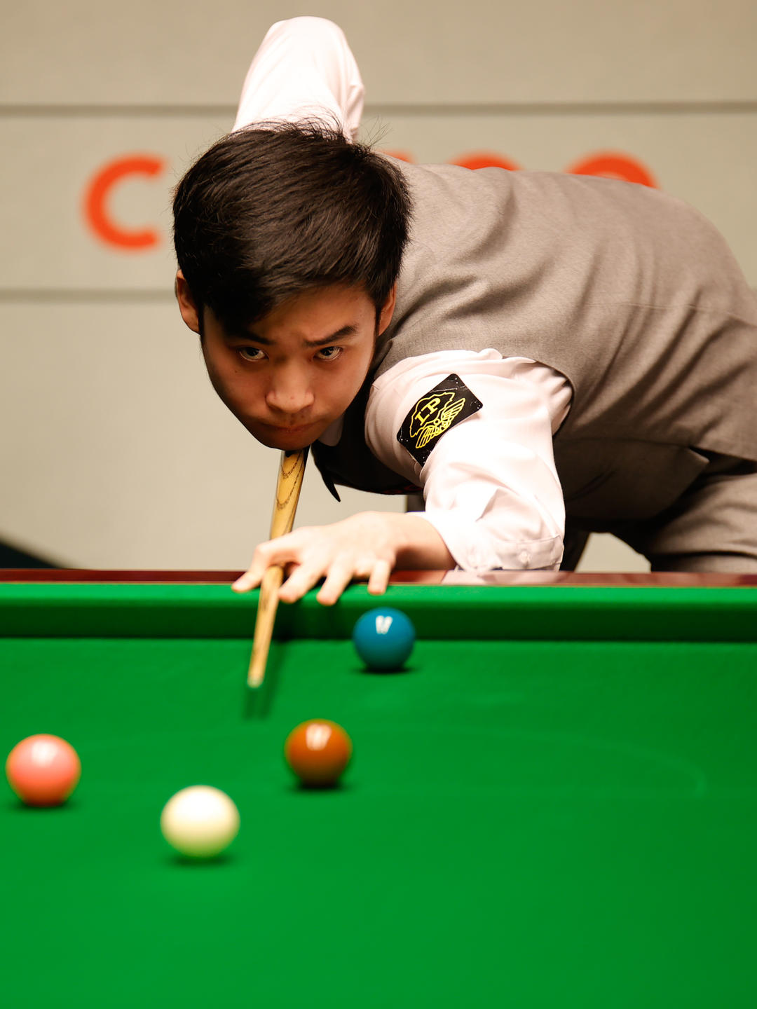 能力都有了 能力都有了